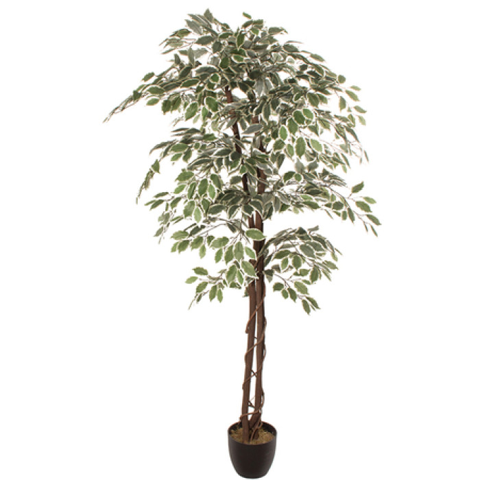 Planta artificial FICUS 1.80m
